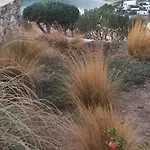 Heliopetra Punta Chora